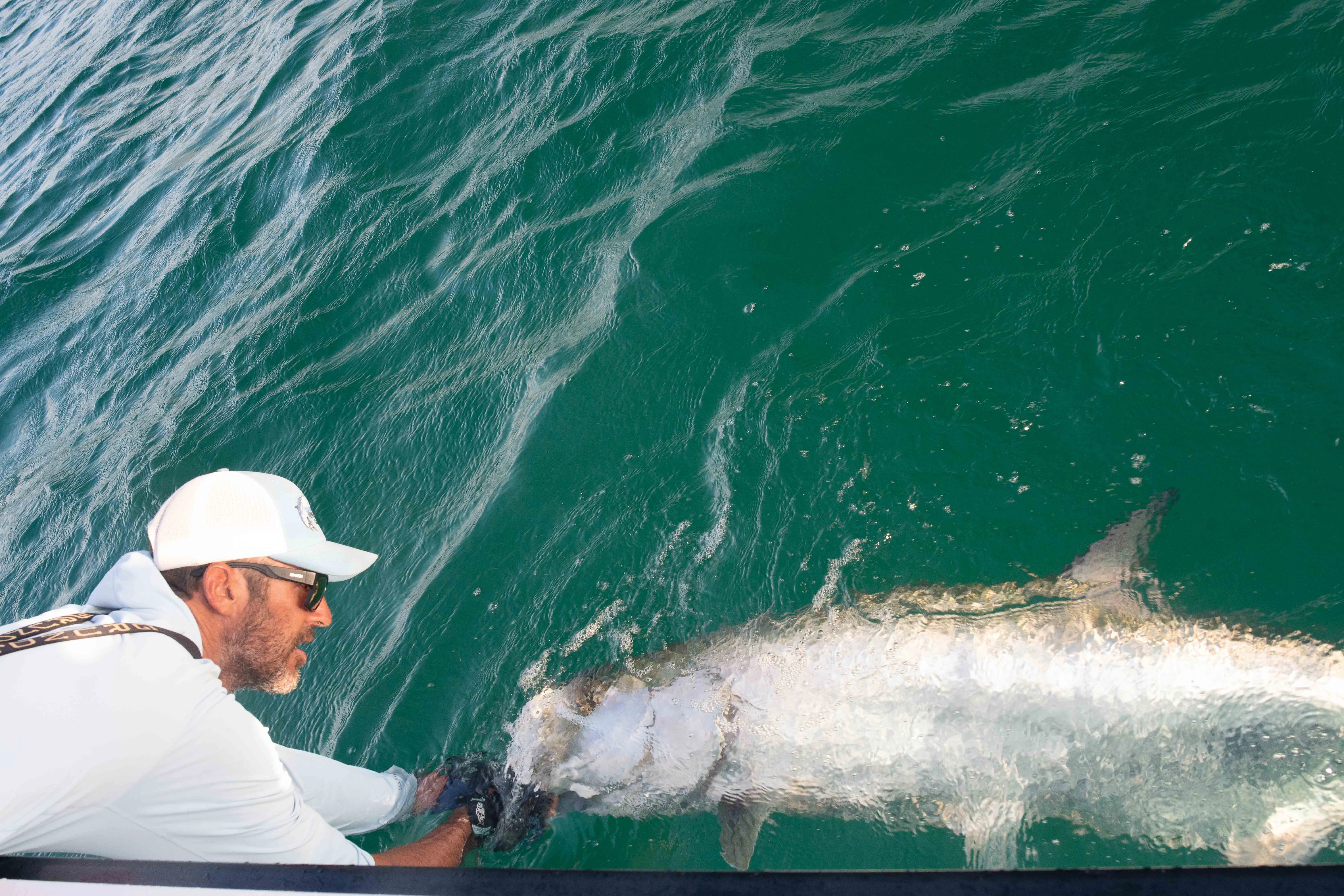 Tarpon Fishing Adventure