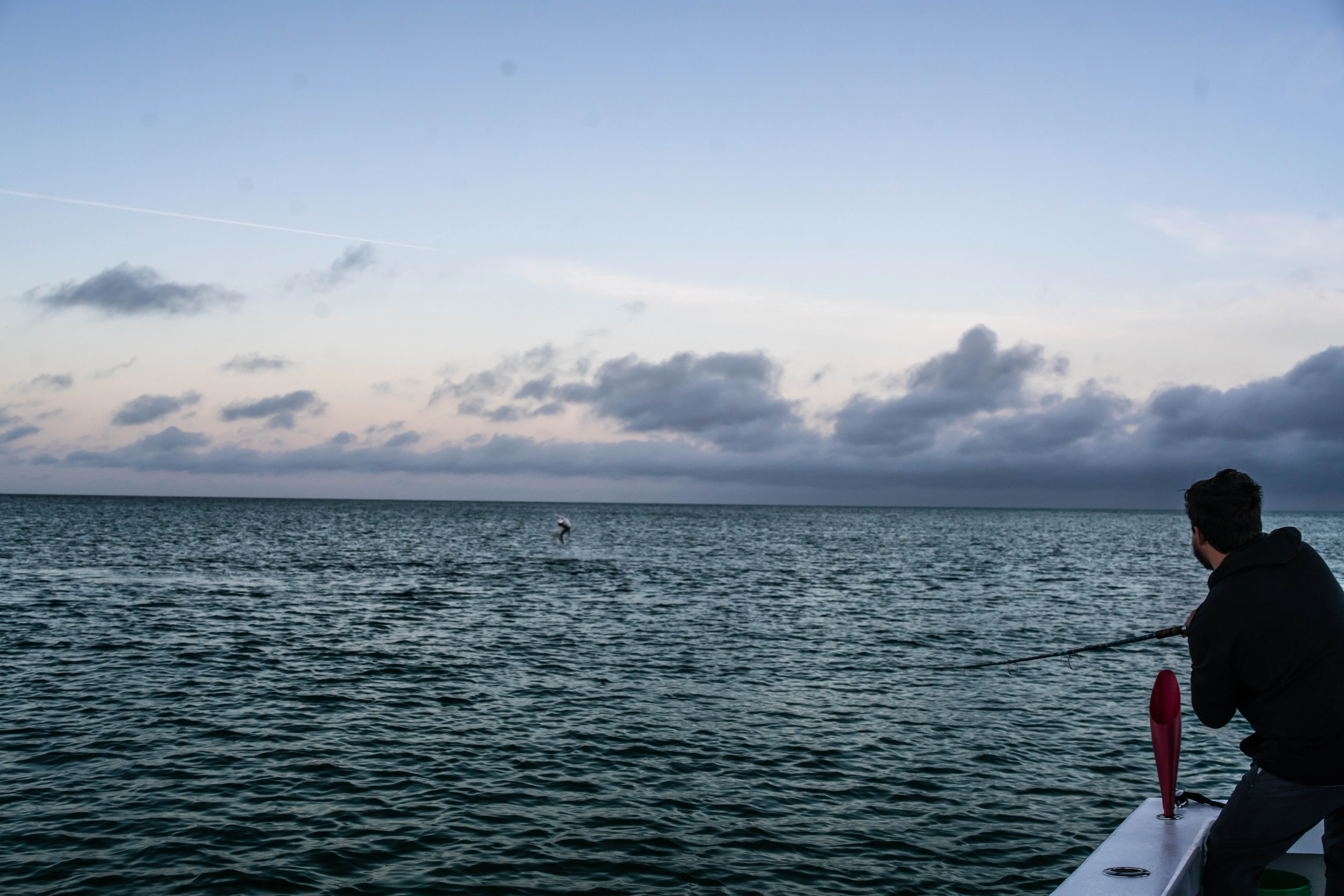Tarpon caught on charter